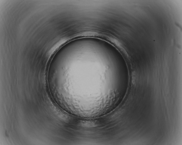 X0000103331229200809121203