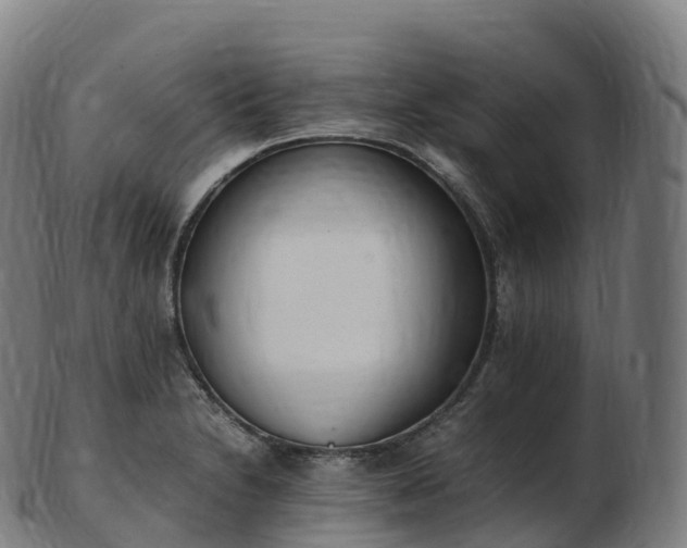 X0000103331230200809121203