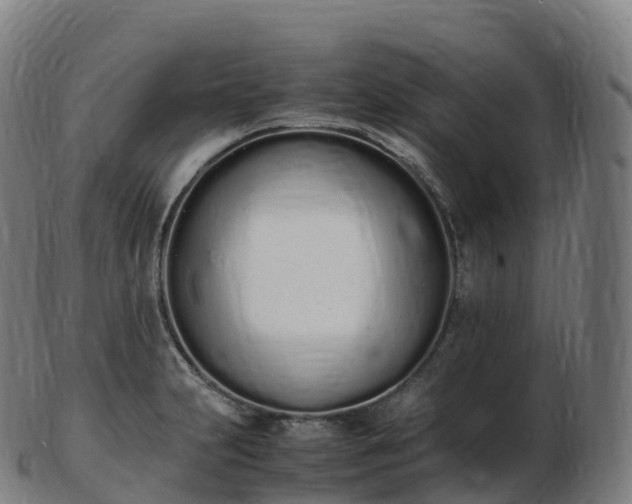 X0000103331231200809121203