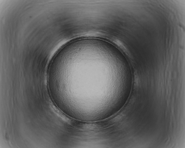 X0000103331232200809121203