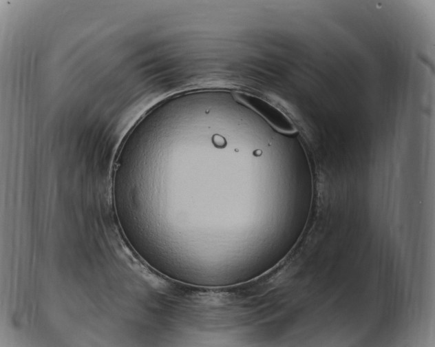 X0000103331236200809121203