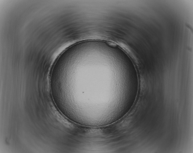 X0000103331238200809121203