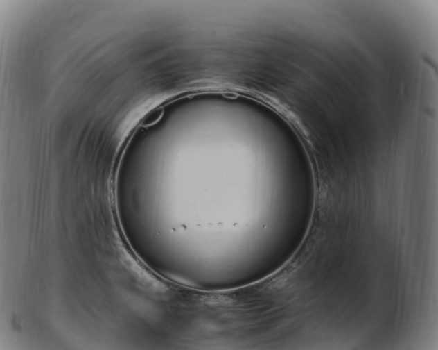 X0000103331239200809121203