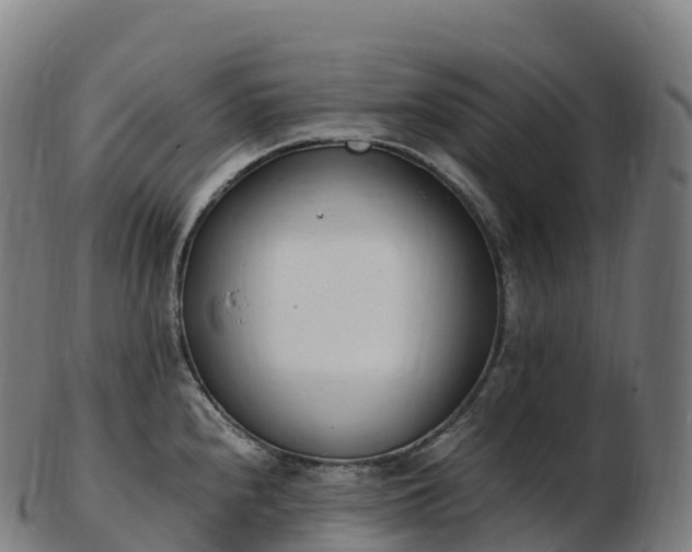 X0000103331240200809121203