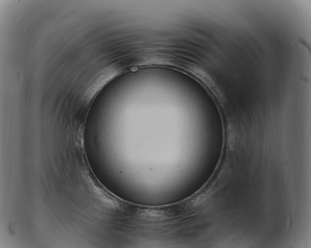 X0000103331241200809121203