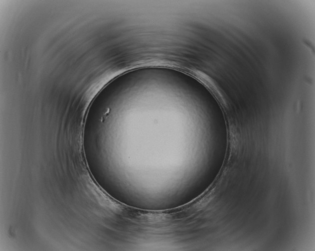 X0000103331244200809121203