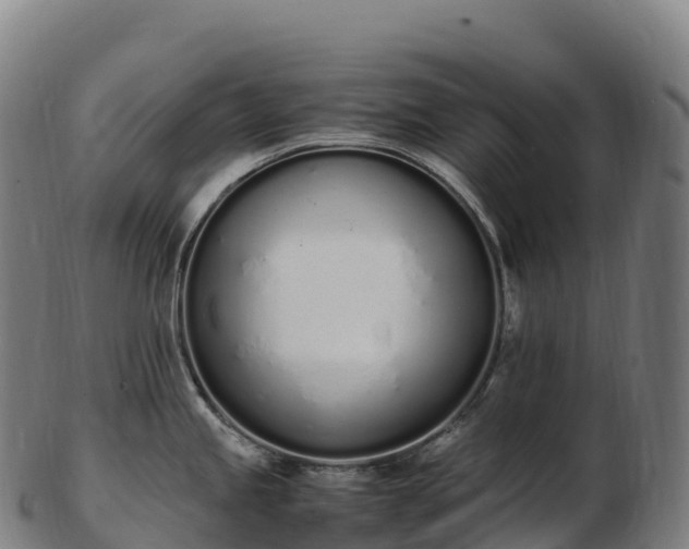 X0000103331245200809121203