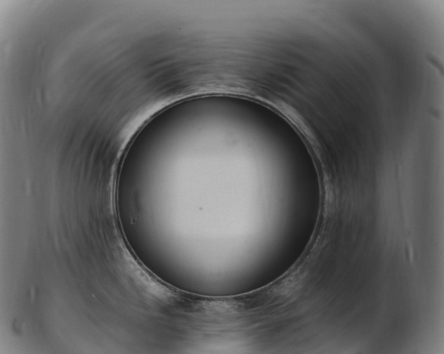 X0000103331246200809121203