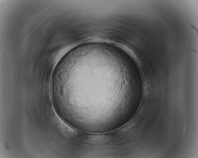 X0000103331247200809121203