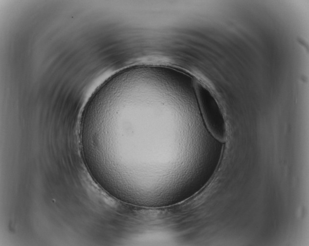 X0000103331248200809121203