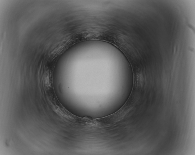 X0000103331250200809121202