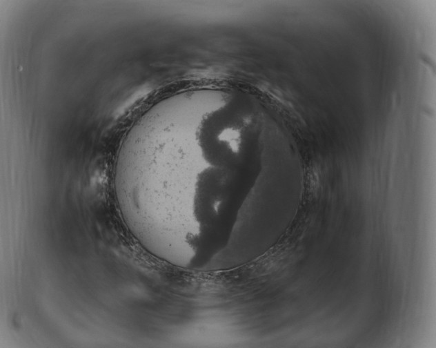 X0000103331254200809121202