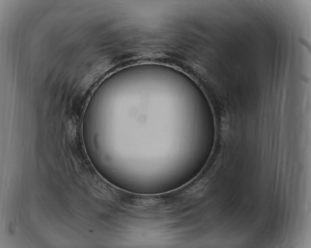 X0000103331257200809121202