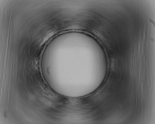 X0000103331258200809121202