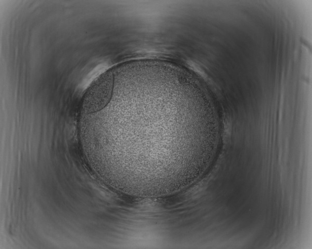 X0000103331259200809121202