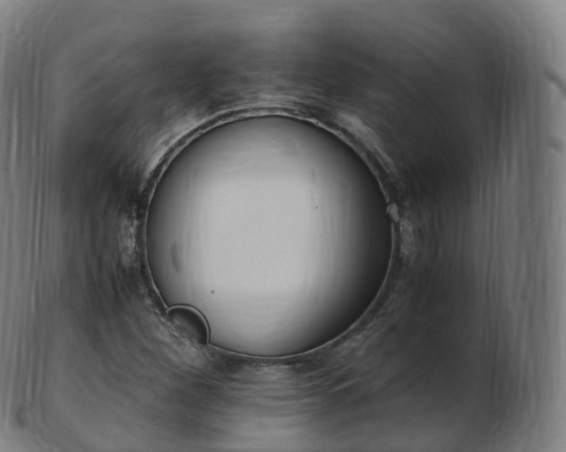 X0000103331260200809121202