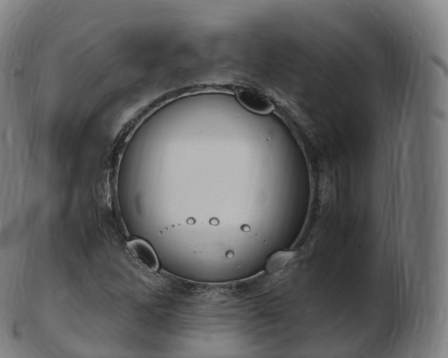 X0000103331262200809121202