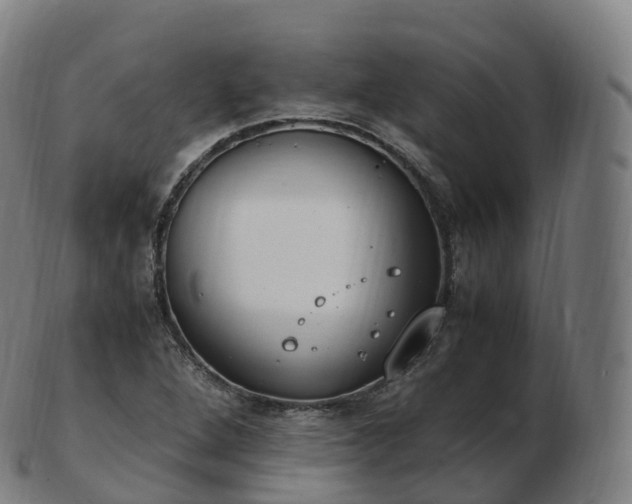 X0000103331264200809121202