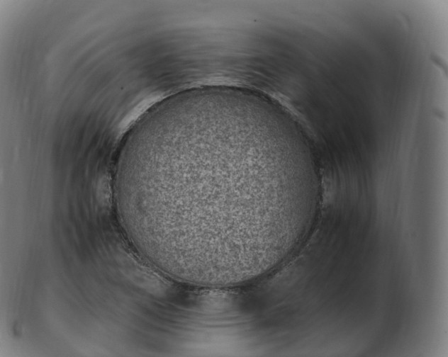 X0000103331266200809121202