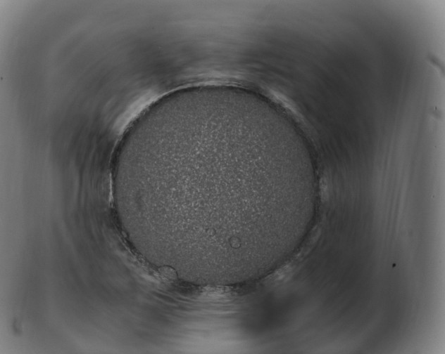 X0000103331267200809121202