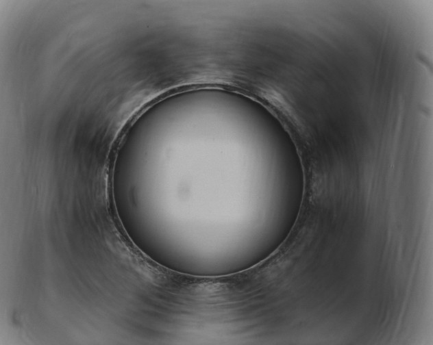 X0000103331268200809121202