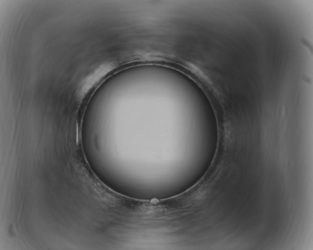 X0000103331269200809121202