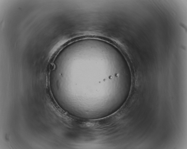 X0000103331271200809121202