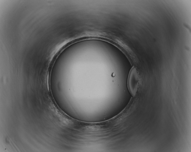 X0000103331272200809121202