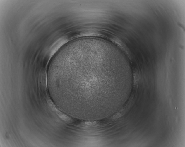 X0000103331274200809121202