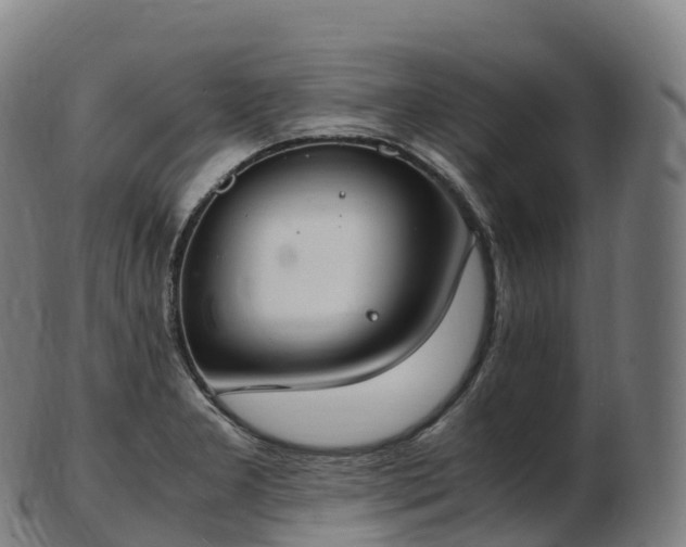 X0000103331277200809121202