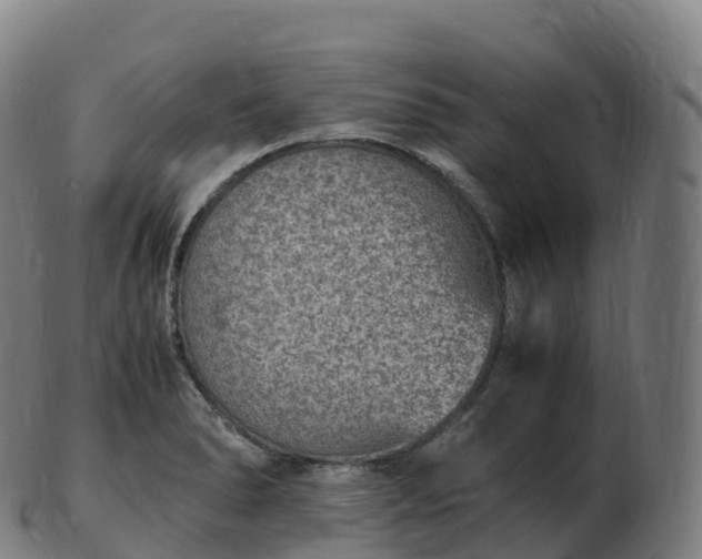 X0000103331278200809121202