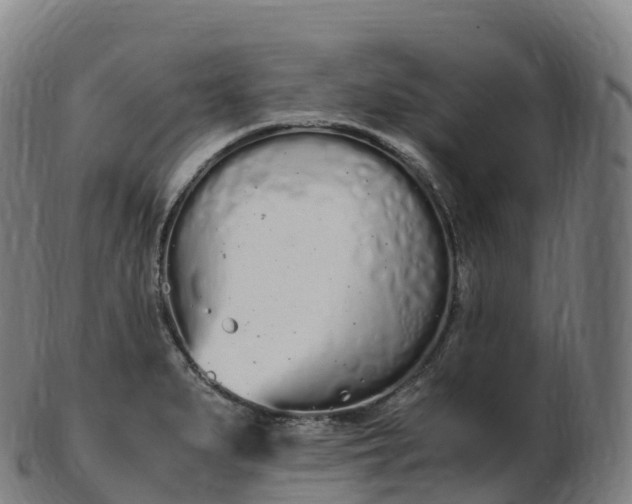 X0000103331279200809121202