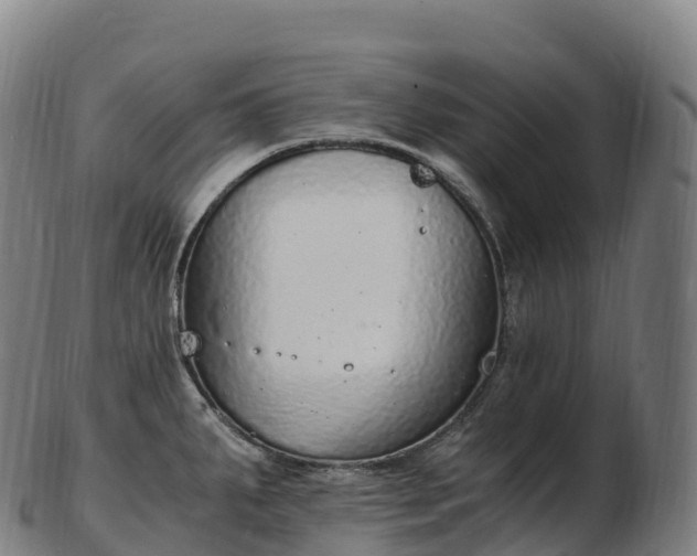 X0000103331287200809121202