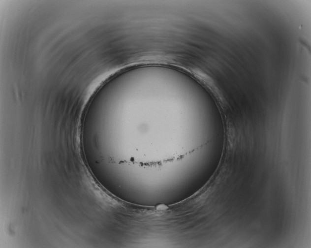 X0000103331288200809121202