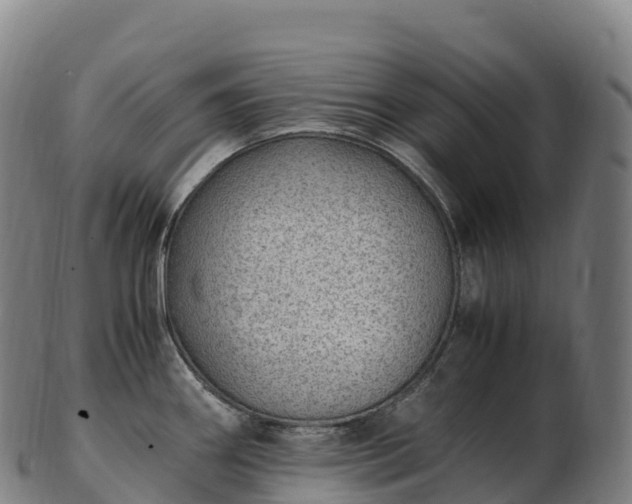 X0000103331290200809121202