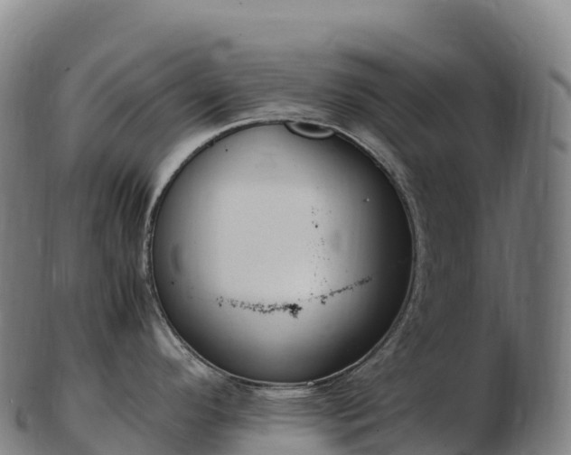 X0000103331296200809121202