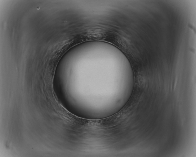 X0000103331297200809121201