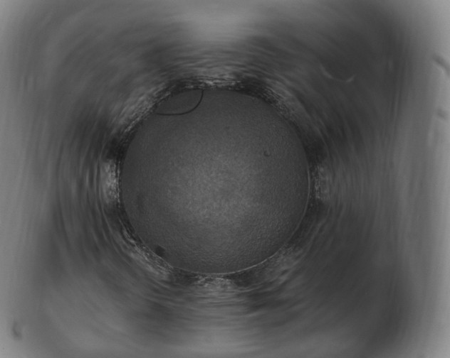 X0000103331298200809121201