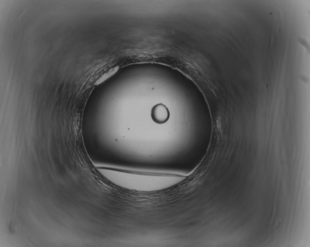 X0000103331300200809121201