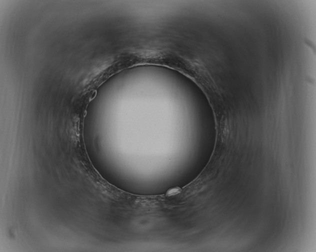 X0000103331301200809121201