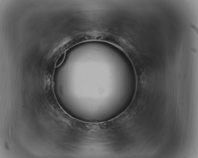 X0000103331302200809121201