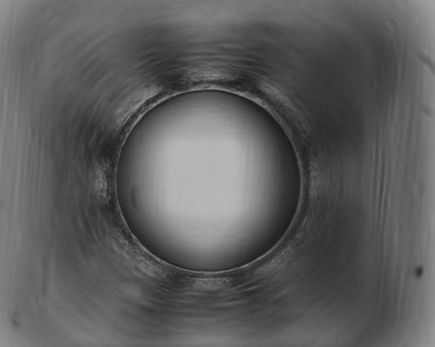 X0000103331305200809121201