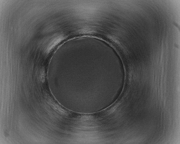 X0000103331306200809121201