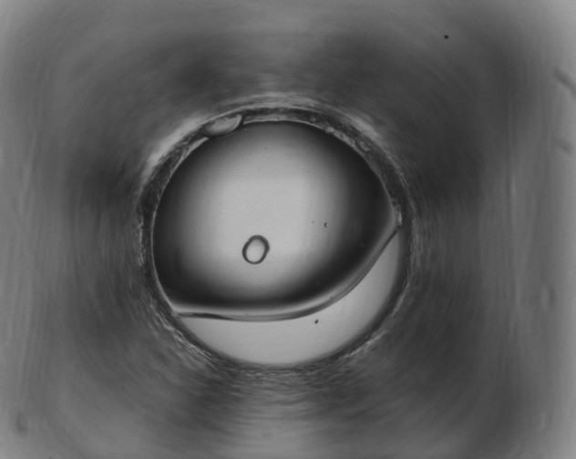 X0000103331310200809121201