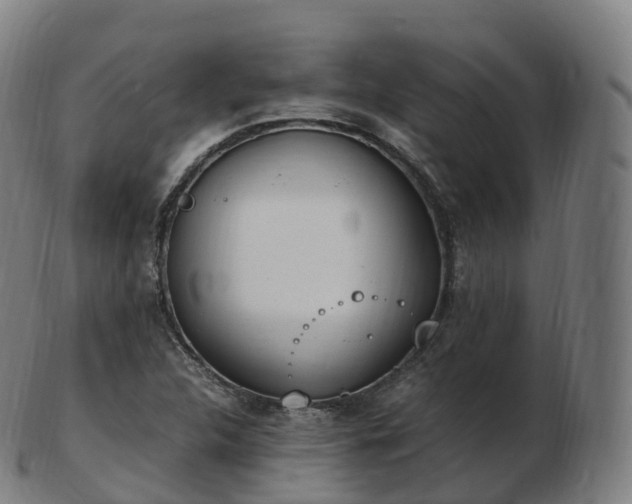 X0000103331312200809121201