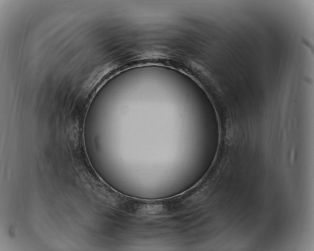 X0000103331313200809121201