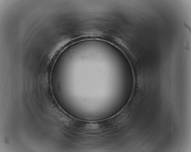 X0000103331315200809121201