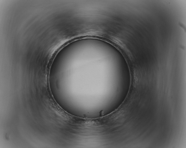 X0000103331316200809121201