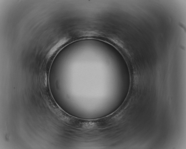 X0000103331317200809121201