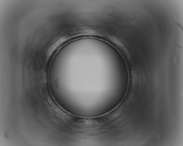 X0000103331318200809121201